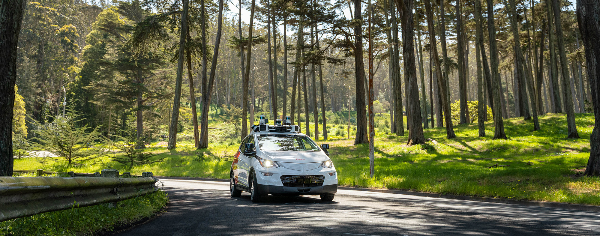 Eco-friendly Rides